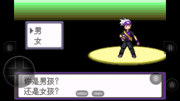 口袋妖怪：漆黑的魅影