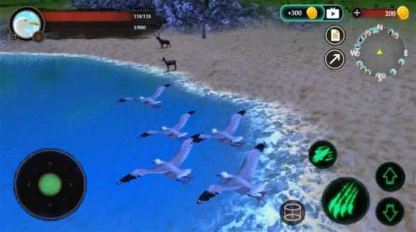 海鸥模拟器  v1.33