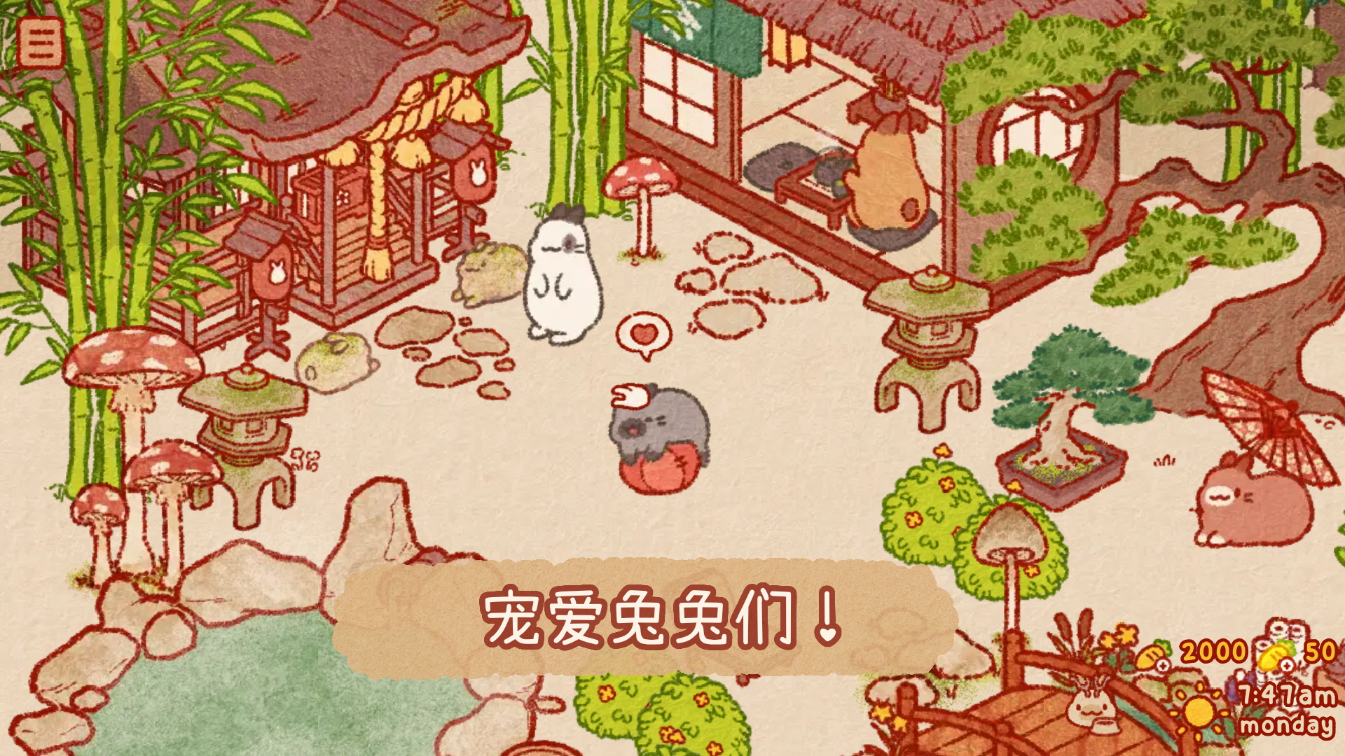 兔兔岛最新版