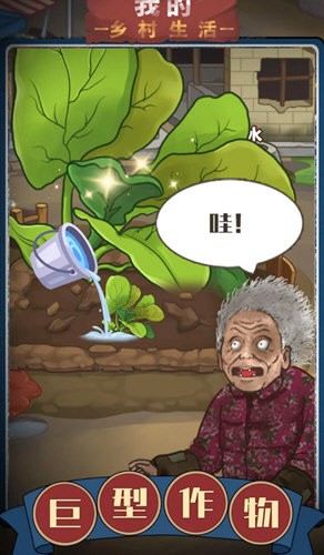 我的乡村生活