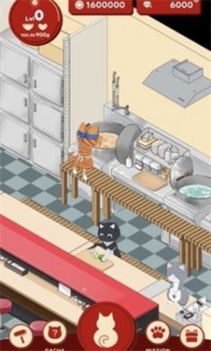 拉面赤猫