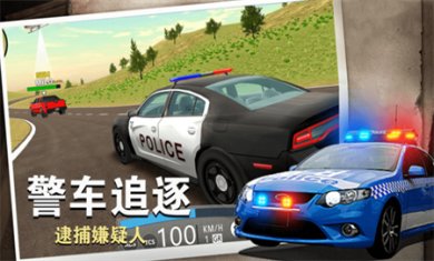 警察行动