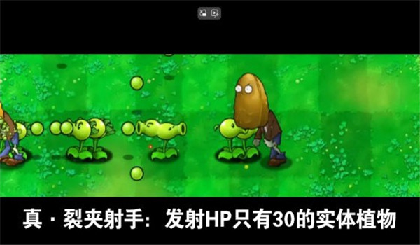 植物大战僵尸吃席版南瓜君自制版
