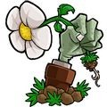 植物大战僵尸∀版支线游戏