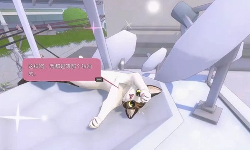 大城小猫