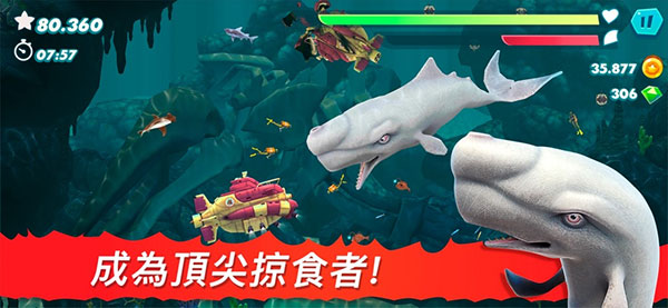 饥饿鲨进化  v9.11.23.0