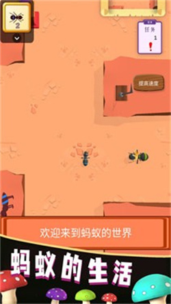 蚂蚁的生活(AntLife) 蚂蚁的生活(AntLife)