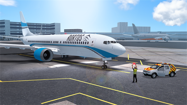 real flight simulator