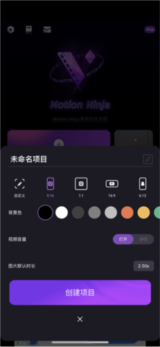 motionninja 专业剪辑