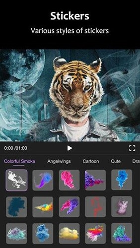 motionninja 专业剪辑