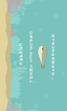 虚无鱼baspi2025