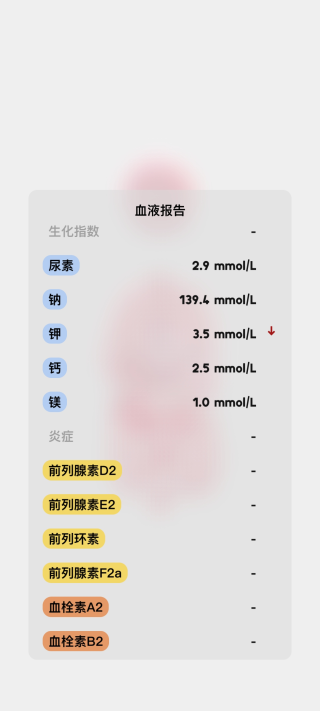 Life生命模拟器中文版