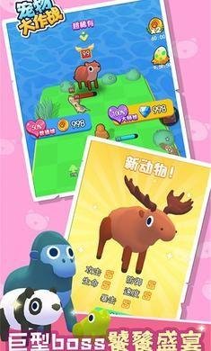宠物大作战