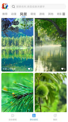 小鸟壁纸自动换壁纸免费版正式下载v2.0.0