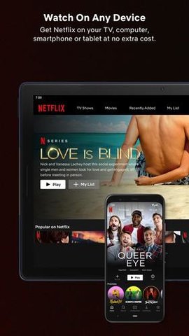 奈飞netflix