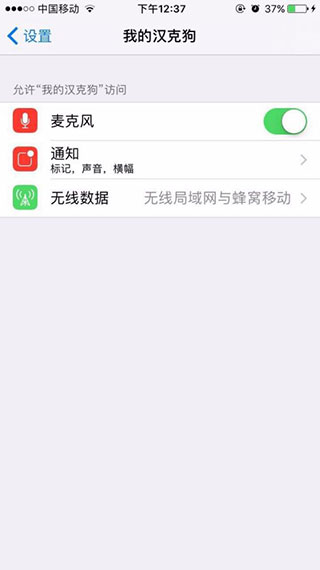 我的汉克狗 我的汉克狗