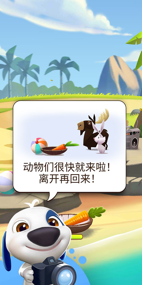 我的汉克狗 我的汉克狗