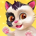我的猫咪