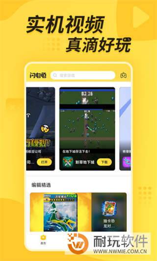闪电龟