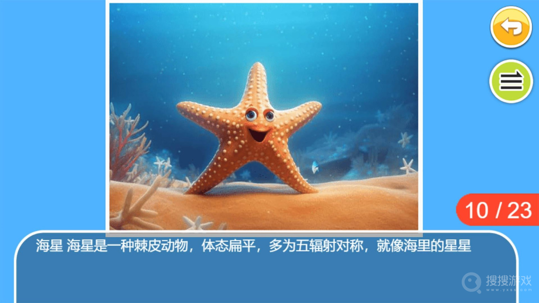 儿童宝宝海洋世界