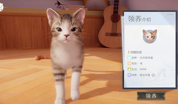 我和我的猫 我和我的猫