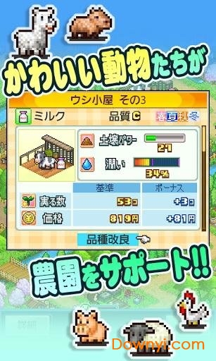 大空庄园