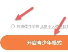 番茄免费小说青少年版