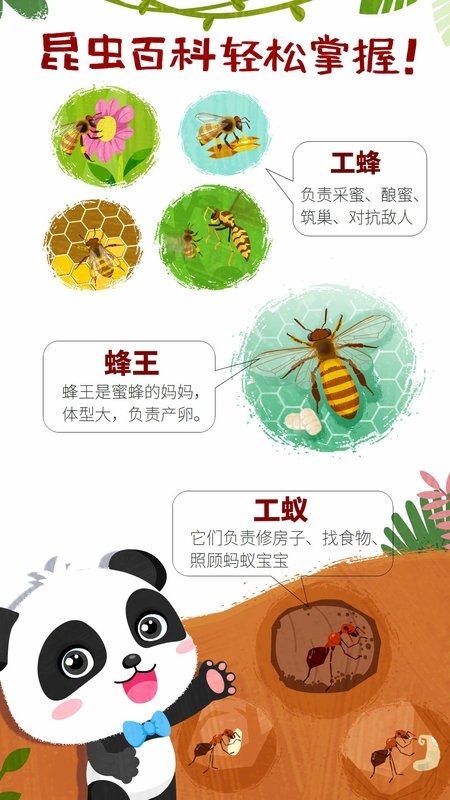 奇妙昆虫世界