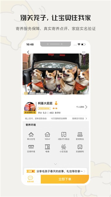 小狗在家